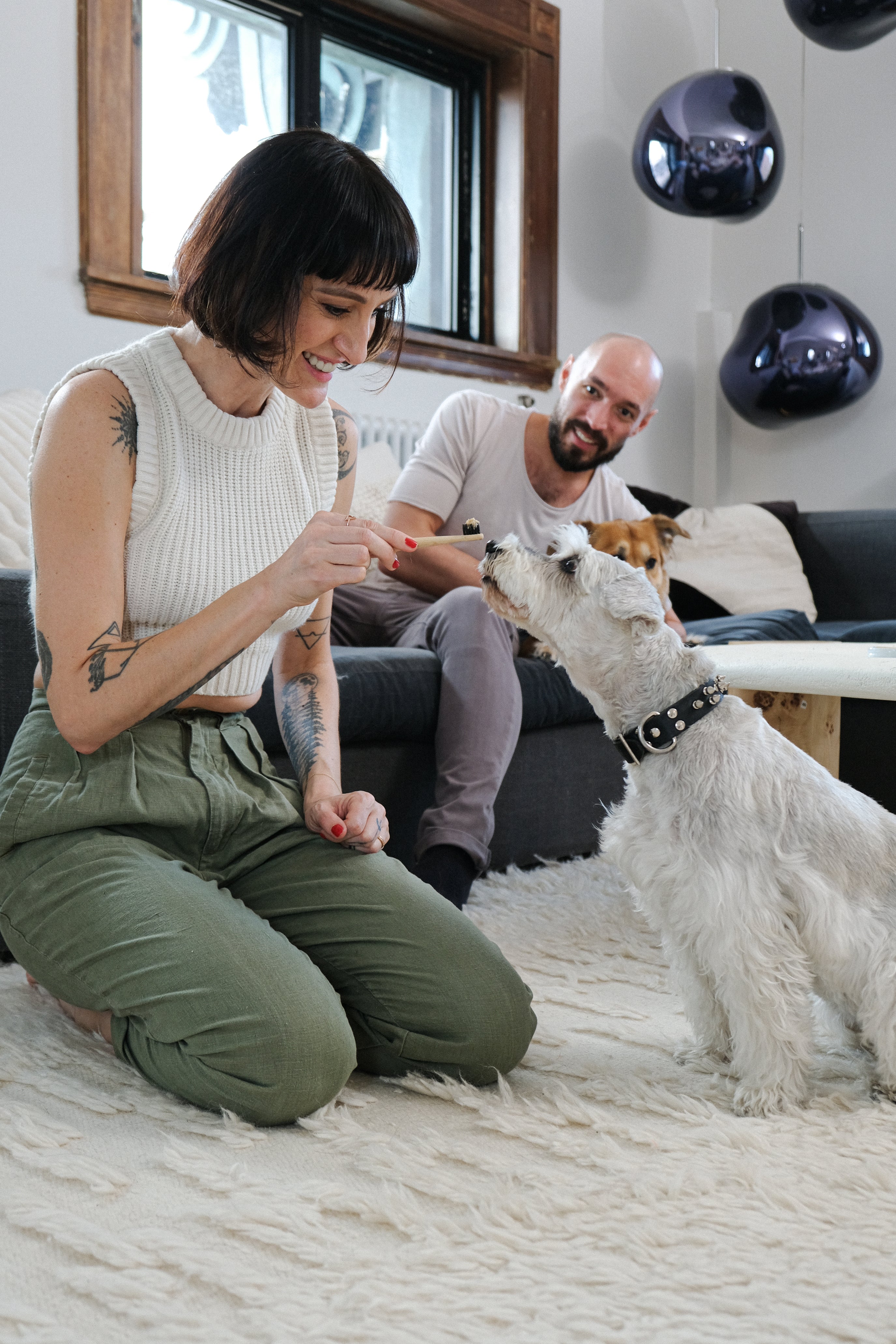 Why I brush my dogs teeth
