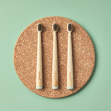 Three bamboo toothbrushes on a cork board with a green background