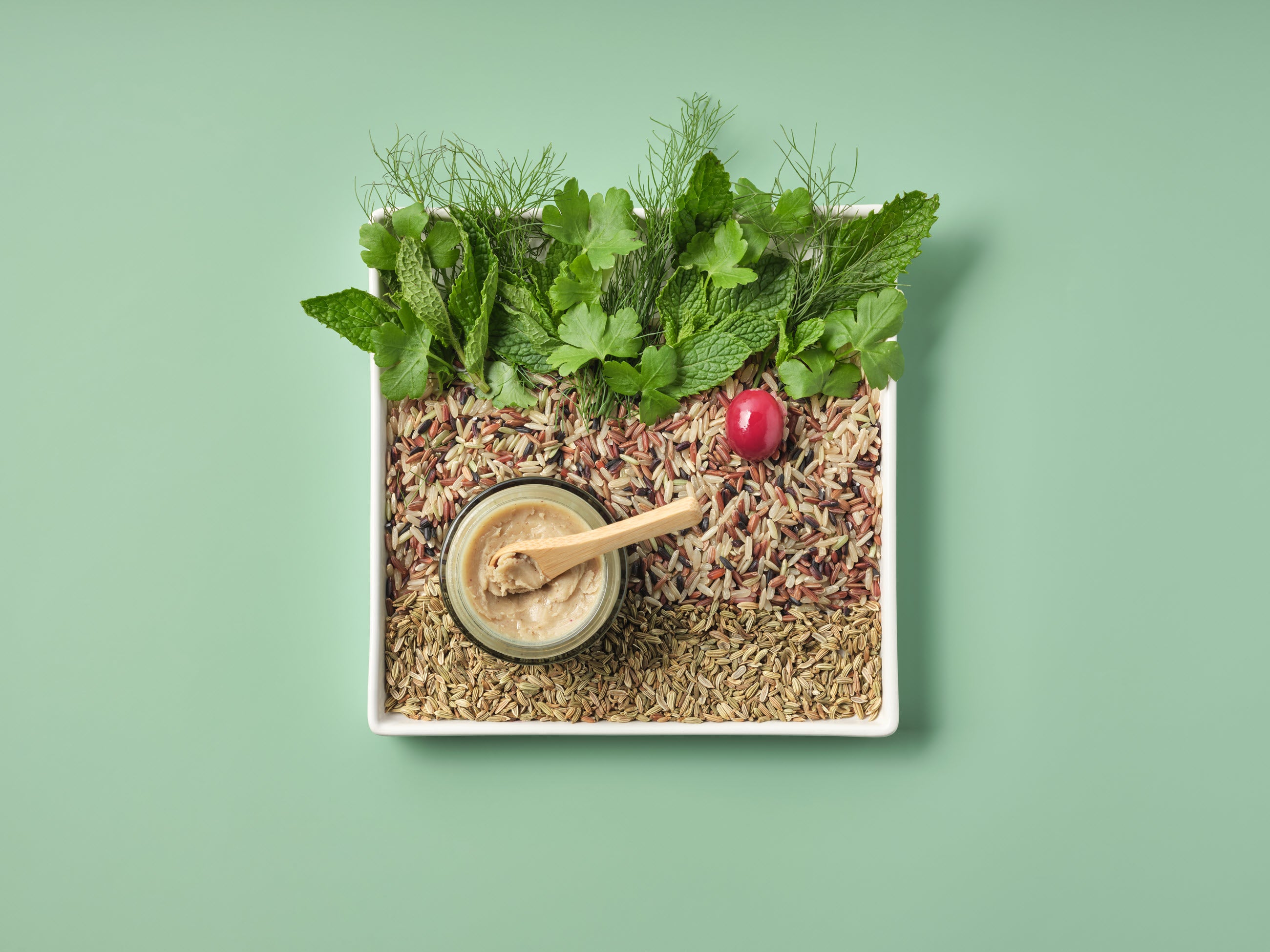 A top-down aesthetic flat lay of Zeeyo dog toothpaste in a glass jar with a bamboo scoop, surrounded by fresh human-grade ingredients including mint, parsley, fennel seeds, and wild rice on a sage green background.